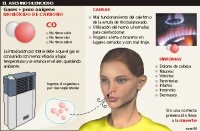 /album/inspec%c3%a7%c3%a3o-gas/monoxido-de-carbono-jpg/
